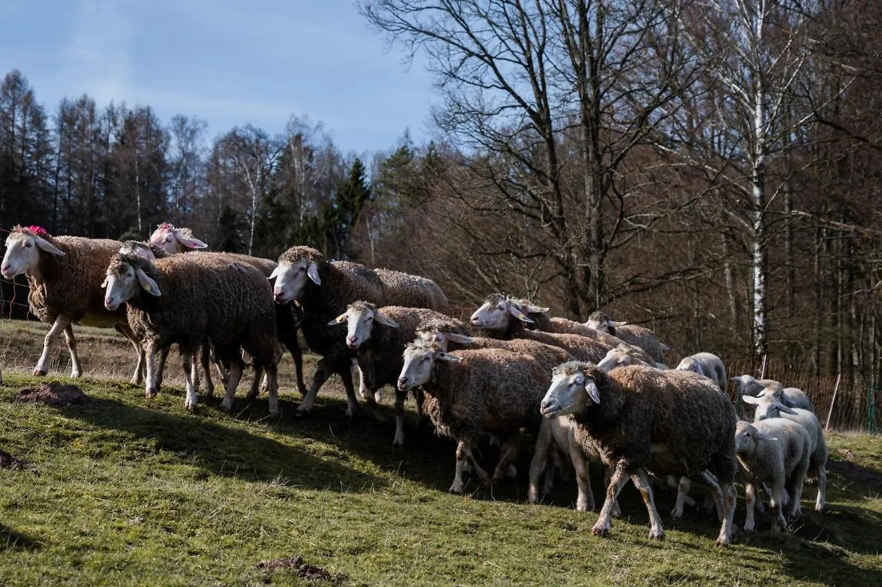 Ferienhaeuser Zur Schaeferei Mitwitz Germany